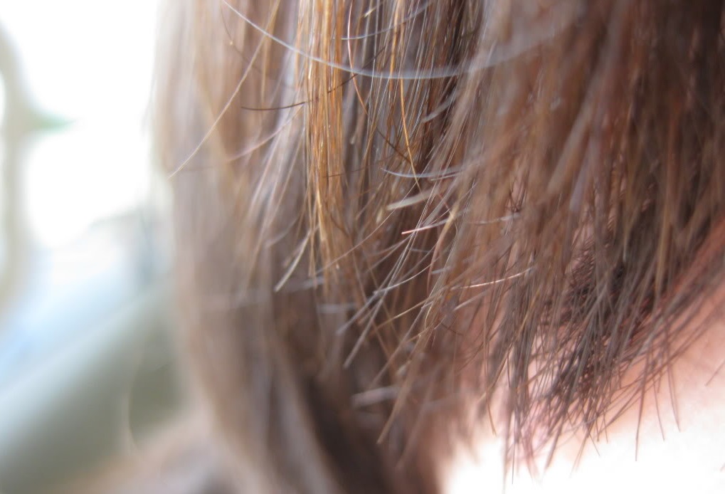 The causes and cures for the split ends | Stanley Teacher Prep