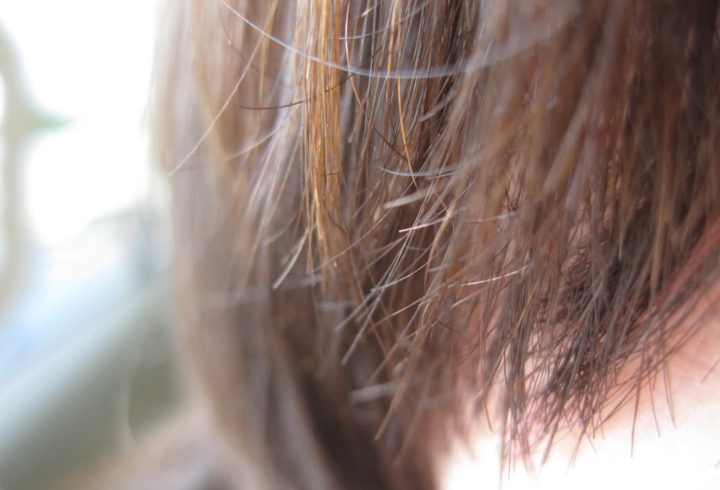 The causes and cures for the split ends | Stanley Teacher Prep The causes and cures for the split ends | Stanley Teacher Prep