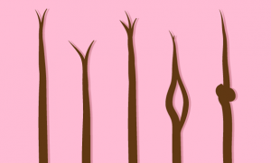 kinds of split ends
